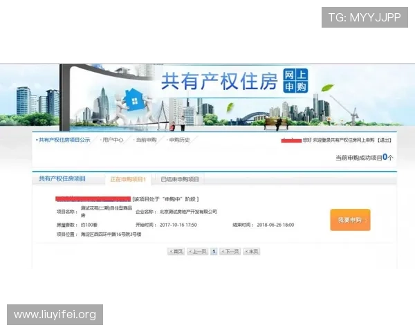 壹号网页版入口：壹号平台网页版入口的访问流程详解与操作指南